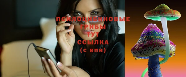 Альфа ПВП Вяземский