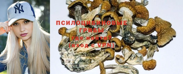 ешки Вязьма