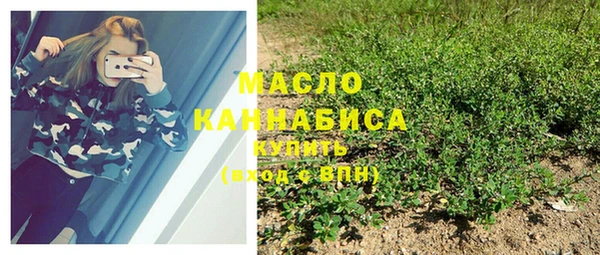 ешки Вязьма